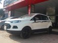 Ford EcoSport 2016 - Cửa nóc