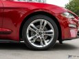 Ford Mustang 2022 - Màu đỏ nhập khẩu nguyên chiếc