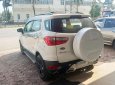 Ford EcoSport 2016 - Cửa nóc