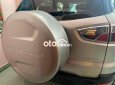Ford EcoSport 2016 - Xe gia đình đang sử dụng