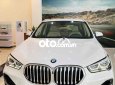 BMW X1 2022 - Màu trắng, nhập khẩu nguyên chiếc