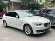 BMW 528i 2015 - Xe màu trắng