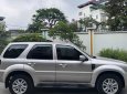 Ford Escape 2012 - Màu bạc, 377tr