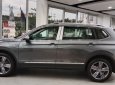 Volkswagen Tiguan 2021 - SUV 7 chỗ thương hiệu Đức