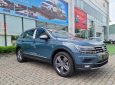 Volkswagen Tiguan 2021 - Màu xanh lam, nhập khẩu