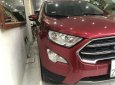 Ford EcoSport 2018 - Bán xe chính chủ giá tốt