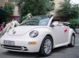 Volkswagen New Beetle 2004 - Màu kem (be), nhập khẩu, giá 430tr