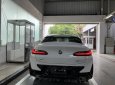 BMW X4 2021 - Nâng tầm sự hoàn hảo