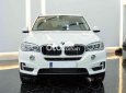 BMW X5 2016 - Cần bán gấp xe màu trắng