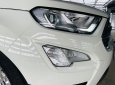 Ford EcoSport 2020 - Siêu lướt giá cạnh tranh