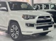 Toyota 4 Runner 2015 - Biển tỉnh, tên tư nhân