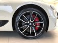 Bentley Continental 2021 - [Chính hãng] phiên bản Legendary độc nhất
