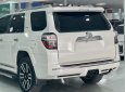 Toyota 4 Runner 2015 - Biển tỉnh, tên tư nhân