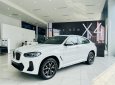 BMW X4 2022 - Xe sang, giá rẻ, ưu đãi tốt nhất thị trường