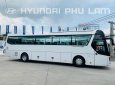 Hyundai Universe 2019 - Bán xe linh kiện nhập khẩu - Hyundai Thành Công, giá 3 tỷ 200tr