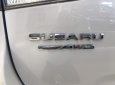 Subaru Forester 2021 - Chỉ 969 triệu sở hữu xe ngay - Ưu đãi khủng lớn nhất năm - Subaru Đồng Nai