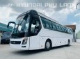 Hyundai Universe 2019 - Bán xe linh kiện nhập khẩu - Hyundai Thành Công, giá 3 tỷ 200tr