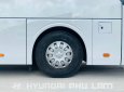 Hyundai Universe 2019 - Bán xe linh kiện nhập khẩu - Hyundai Thành Công, giá 3 tỷ 200tr