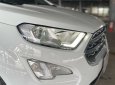 Ford EcoSport 2022 - Siêu lướt - odo chỉ 10.000km, xe gia đình, sơn zin 100%, hỗ trợ trả góp