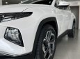 Hyundai Tucson 2022 - Sẵn xe đủ màu giao ngay trong tháng 8