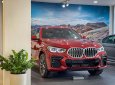 BMW X6 2022 - "Siêu phẩm" của làng ô tô mang phong cách hiện đại và sang trọng