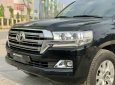 Toyota Land Cruiser 2019 - Cần bán lại xe màu đen