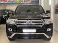 Toyota Land Cruiser 2019 - Odo 3,6 vạn km