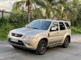 Ford Escape 2010 - Số tự động 2 cầu