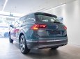 Volkswagen Tiguan 2022 - Xe sẵn, đủ màu, miễn phí 5 năm bảo dưỡng cùng nhiều chương trình ưu đãi đặt biệt khi liên hệ