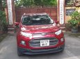 Ford EcoSport 2016 - Một chủ mua mới từ đầu