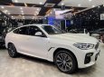 BMW X6 2020 - Xe màu trắng