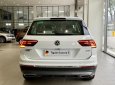 Volkswagen Tiguan 2023 - màu trắng khuyến mãi 100% trước bạ + 5 năm bảo dưỡng cho khách liên hệ Ms Minh Thư