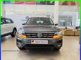 Volkswagen Tiguan 2022 - Khuyến mãi xe màu xám, miễn lãi suất 0% 3 năm, khuyến mại đặc biệt cho KH đặt hàng ngay trong tháng