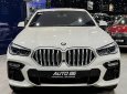 BMW X6 2020 - Xe màu trắng