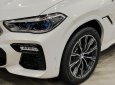 BMW X6 2020 - Xe màu trắng