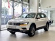 Volkswagen Tiguan 2023 - màu trắng khuyến mãi 100% trước bạ + 5 năm bảo dưỡng cho khách liên hệ Ms Minh Thư