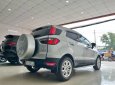 Ford EcoSport 2017 - Lên nhiều đồ chơi