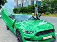 Ford Mustang 2015 - Cần bán xe chính chủ - bản kỷ niệm 50 năm