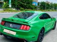 Ford Mustang 2015 - Cần bán xe chính chủ - bản kỷ niệm 50 năm