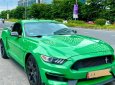 Ford Mustang 2015 - Cần bán xe chính chủ - bản kỷ niệm 50 năm