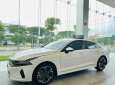 Kia K5 2022 - Sẵn xe giao ngay khu vực tp Hồ Chí Minh