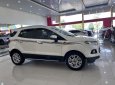 Ford EcoSport 2016 - Bản cao cấp full options, xe thể thao cực đẹp, zin từng con ốc