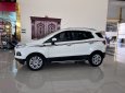 Ford EcoSport 2016 - Bản cao cấp full options, xe thể thao cực đẹp, zin từng con ốc