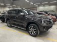 Ford Everest 2022 - Xe màu đen
