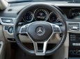 Mercedes-Benz E200 2015 - Mercedes-Benz E200 2015 tại 103