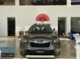 Subaru Forester 2022 - Bản cao cấp giá siêu tốt