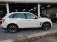 BMW X5 2016 - Xe rất đẹp