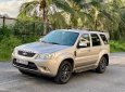 Ford Escape 2010 - Một chủ từ mới