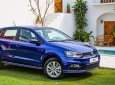 Volkswagen Polo 2022 - Giảm sốc trong T11 - Sẵn xe giao ngay đủ phiên bản - Hỗ trợ phí qua hotline