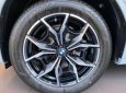 BMW X4 2022 - Xe hot có sẵn giao ngay quà tặng hấp dẫn